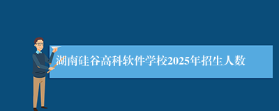 湖南硅谷高科软件学校2025年招生人数
