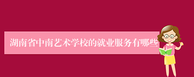 湖南省中南艺术学校的就业服务有哪些