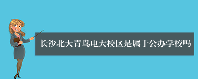 长沙北大青鸟电大校区是属于公办学校吗