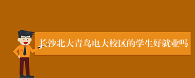 长沙北大青鸟电大校区的学生好就业吗