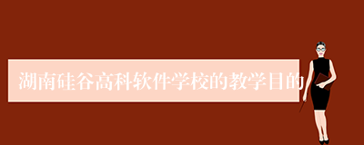湖南硅谷高科软件学校的教学目的