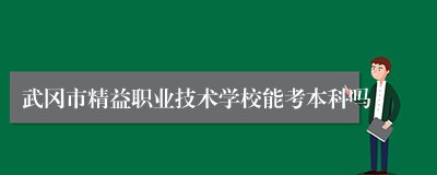 武冈市精益职业技术学校能考本科吗
