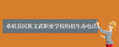 桑植县民族文武职业学校的招生办电话