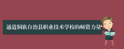 通道侗族自治县职业技术学校的师资力量