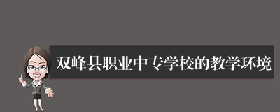 双峰县职业中专学校的教学环境