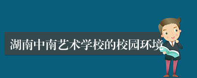 湖南中南艺术学校的校园环境