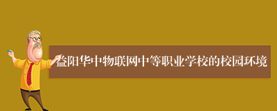 益阳华中物联网中等职业学校的校园环境