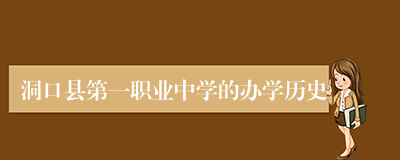 洞口县第一职业中学的办学历史