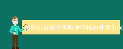 衡阳市菁东中等职业学校的升学方向