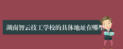 湖南智云技工学校的具体地址在哪里