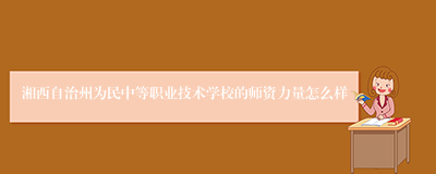 湘西自治州为民中等职业技术学校的师资力量怎么样