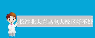 长沙北大青鸟电大校区好不好