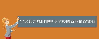 宁远县九峰职业中专学校的就业情况如何