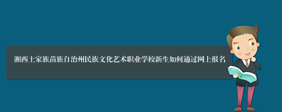 湘西土家族苗族自治州民族文化艺术职业学校新生如何通过网上报名