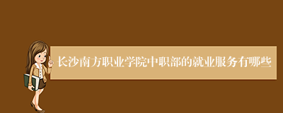 长沙南方职业学院中职部的就业服务有哪些