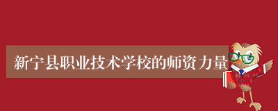 新宁县职业技术学校的师资力量