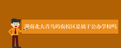 湖南北大青鸟码农校区是属于公办学校吗