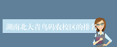 湖南北大青鸟码农校区的排名