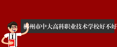 郴州市中大高科职业技术学校好不好
