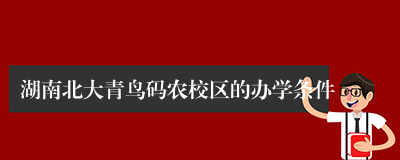 湖南北大青鸟码农校区的办学条件