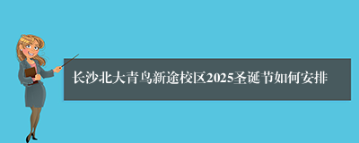 长沙北大青鸟新途校区2025圣诞节如何安排