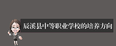 辰溪县中等职业学校的培养方向