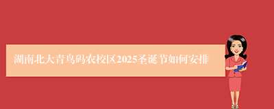 湖南北大青鸟码农校区2025圣诞节如何安排
