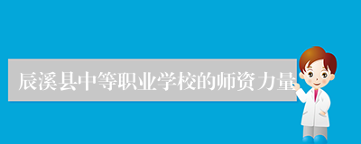 辰溪县中等职业学校的师资力量