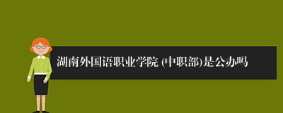 湖南外国语职业学院 (中职部)是公办吗
