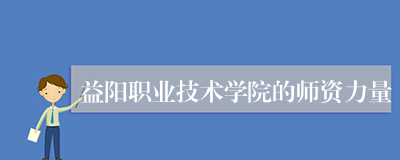 益阳职业技术学院的师资力量