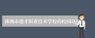 株洲市德才职业技术学校的校园环境