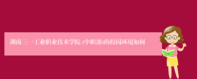 湖南三一工业职业技术学院 (中职部)的校园环境如何