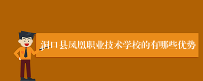 洞口县凤凰职业技术学校的有哪些优势