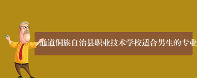 通道侗族自治县职业技术学校适合男生的专业