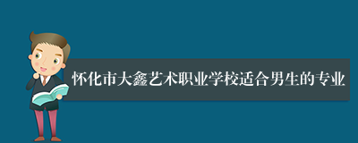 怀化市大鑫艺术职业学校适合男生的专业