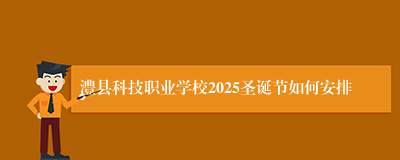 澧县科技职业学校2025圣诞节如何安排