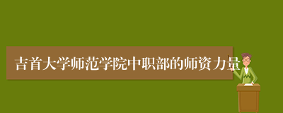 吉首大学师范学院中职部的师资力量