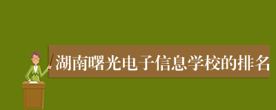 湖南曙光电子信息学校的排名