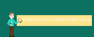 怀化市麻阳苗族自治县久平文武职业学校的师资力量怎么样