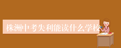 株洲中考失利能读什么学校