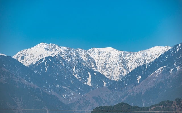 邵阳市湖畔中等职业技术学校的招生要求