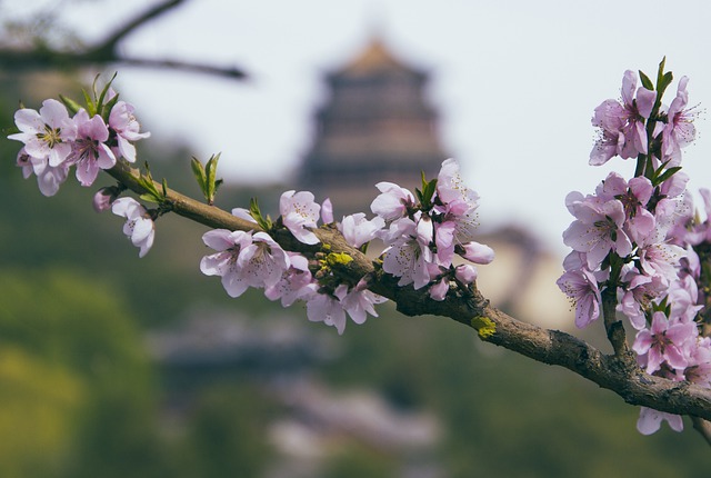 武冈市精益职业技术学校秋季开学前需要做哪些准备