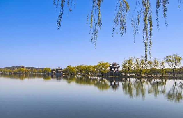 衡阳市蔡伦科技中等职业学校的地址在哪里
