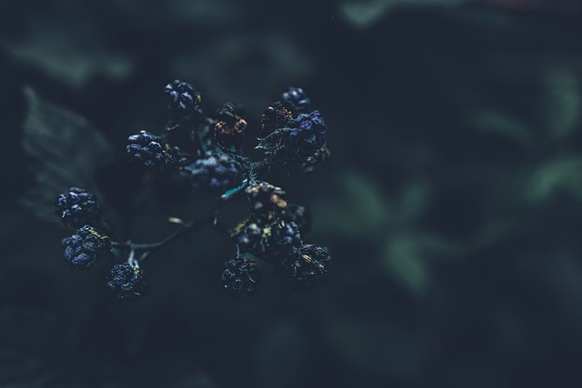 衡山县职业中等专业学校的就业前景