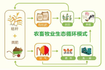 循环农业生产与管理