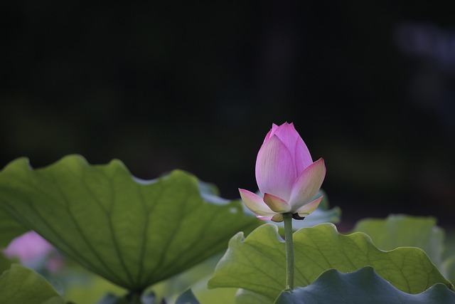 株洲市生物工程中等专业学校的基本情况介绍